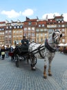 CARRIAGE WITH WHITE HORSE IN OLD TOWN, WARSAW, POLAND